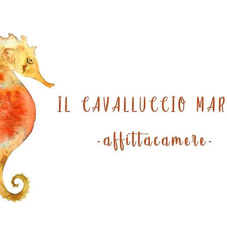 Il Cavalluccio Marino Μαναρόλα Εξωτερικό φωτογραφία