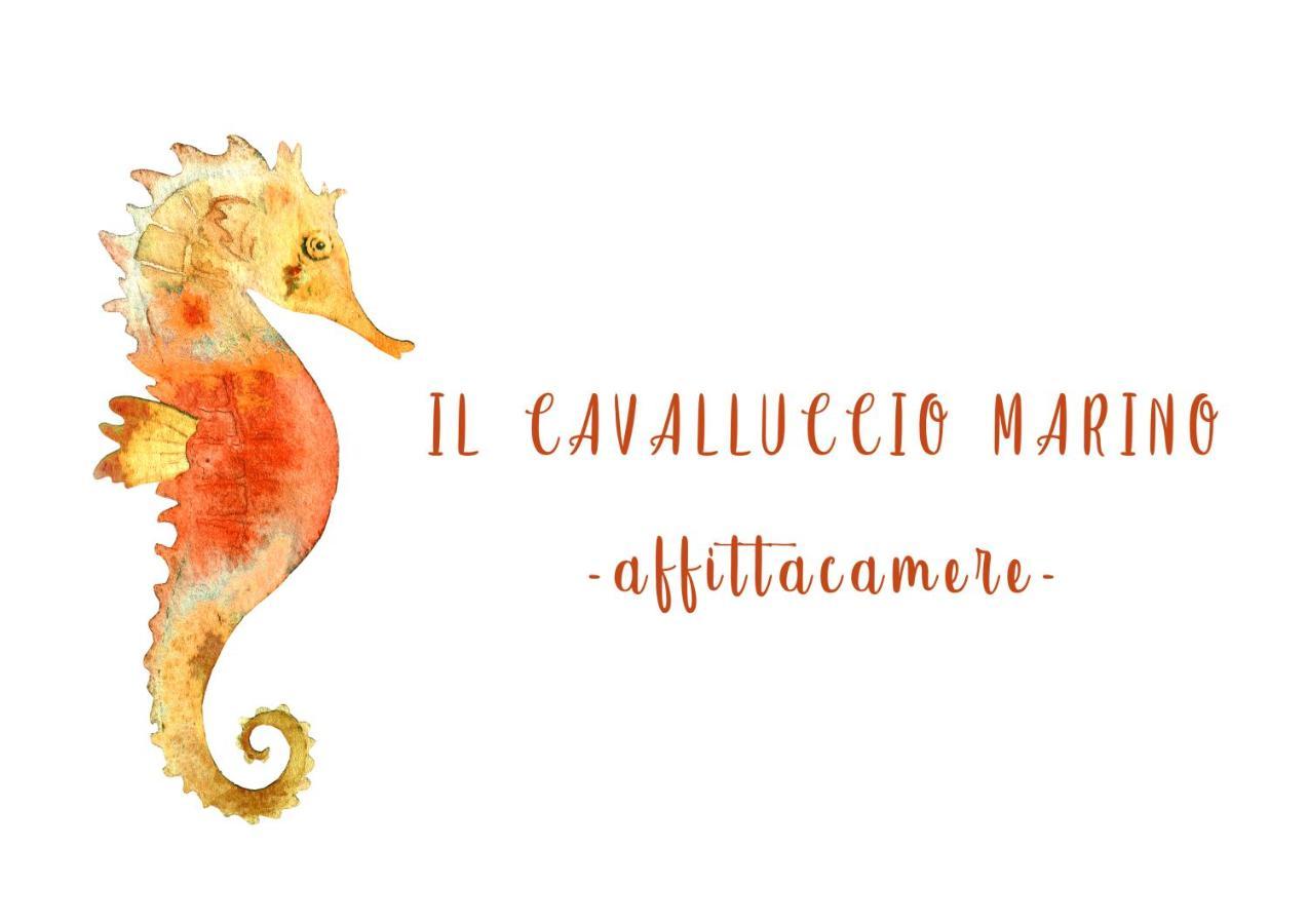 Il Cavalluccio Marino Μαναρόλα Εξωτερικό φωτογραφία