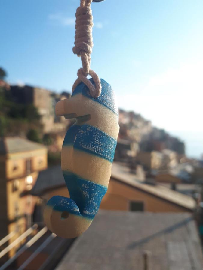 Il Cavalluccio Marino Μαναρόλα Εξωτερικό φωτογραφία